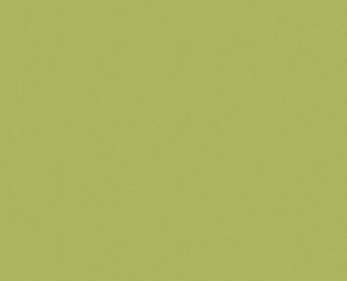 8996 Океанский Зеленый